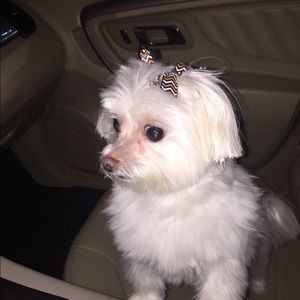 Meet your Posher, Shae